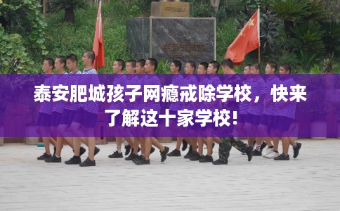 泰安肥城孩子网瘾戒除学校，快来了解这十家学校!