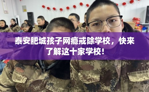 泰安肥城孩子网瘾戒除学校，快来了解这十家学校!