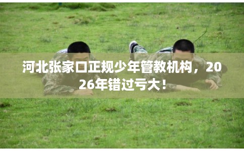 河北张家口正规少年管教机构，2026年错过亏大！