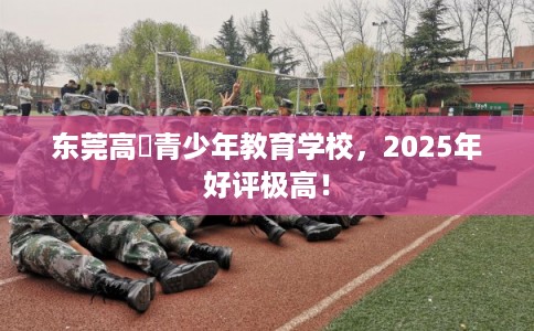 东莞高埗青少年教育学校，2025年好评极高！