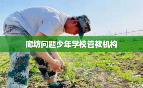 廊坊问题少年学校管教机构 廊坊问题少年学校管教机构