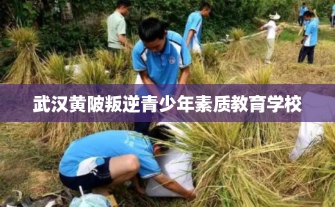 武汉黄陂叛逆青少年素质教育学校
