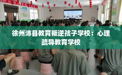 徐州沛县教育叛逆孩子学校:心理疏导教育学校 徐州沛县教育叛逆孩子学校:心理疏导教育学校