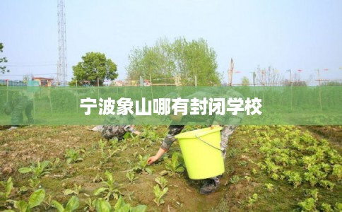 宁波象山哪有封闭学校