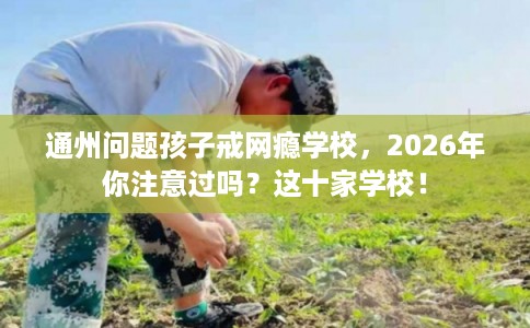 通州问题孩子戒网瘾学校，2026年你注意过吗？这十家学校！