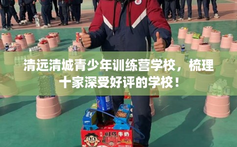 清远清城青少年训练营学校,梳理十家深受好评的学校! 清远清城青少年训练营学校,梳理十家深受好评的学校!