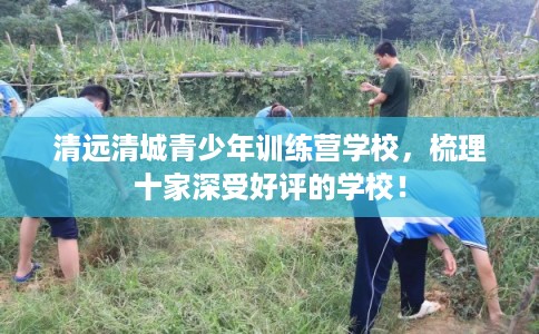 清远清城青少年训练营学校,梳理十家深受好评的学校! 清远清城青少年训练营学校,梳理十家深受好评的学校!