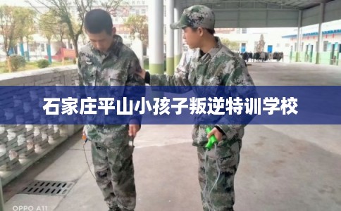 石家庄平山小孩子叛逆特训学校