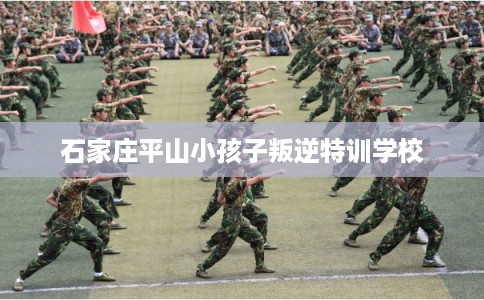 石家庄平山小孩子叛逆特训学校