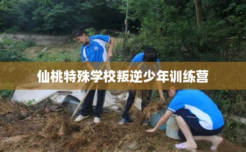 仙桃特殊学校叛逆少年训练营 仙桃特殊学校叛逆少年训练营