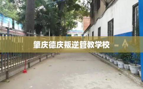 肇庆德庆叛逆管教学校