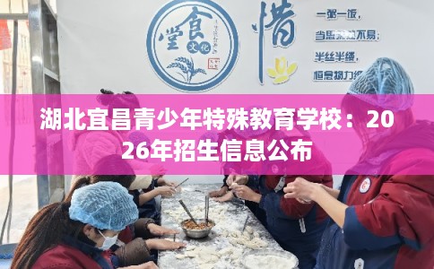 湖北宜昌青少年特殊教育学校：2026年招生信息公布