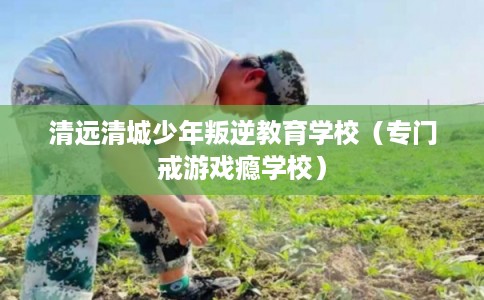 清远清城少年叛逆教育学校（专门戒游戏瘾学校）