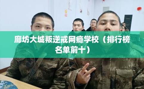廊坊大城叛逆戒网瘾学校(排行榜名单前十) 廊坊大城叛逆戒网瘾学校(排行榜名单前十)