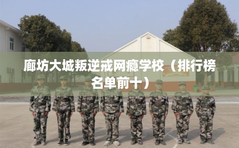 廊坊大城叛逆戒网瘾学校(排行榜名单前十) 廊坊大城叛逆戒网瘾学校(排行榜名单前十)