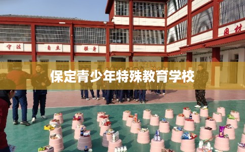保定青少年特殊教育学校