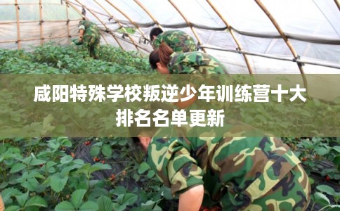 咸阳特殊学校叛逆少年训练营十大排名名单更新 咸阳特殊学校叛逆少年训练营十大排名名单更新