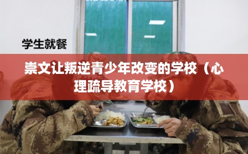 崇文让叛逆青少年改变的学校（心理疏导教育学校）