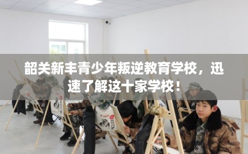 韶关新丰青少年叛逆教育学校,迅速了解这十家学校! 韶关新丰青少年叛逆教育学校,迅速了解这十家学校!