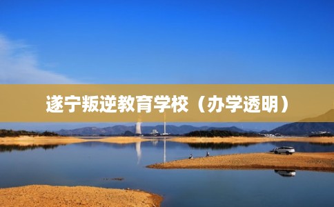 遂宁叛逆教育学校（办学透明）