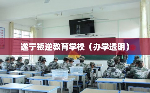遂宁叛逆教育学校（办学透明）