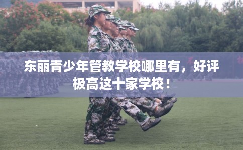 东丽青少年管教学校哪里有，好评极高这十家学校！