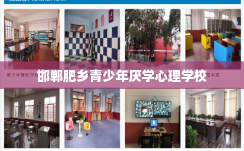 邯郸肥乡青少年厌学心理学校