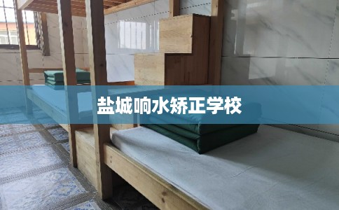 盐城响水矫正学校