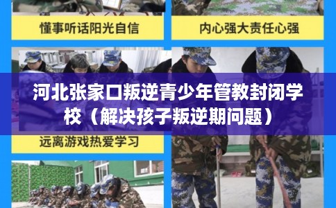 河北张家口叛逆青少年管教封闭学校（解决孩子叛逆期问题）