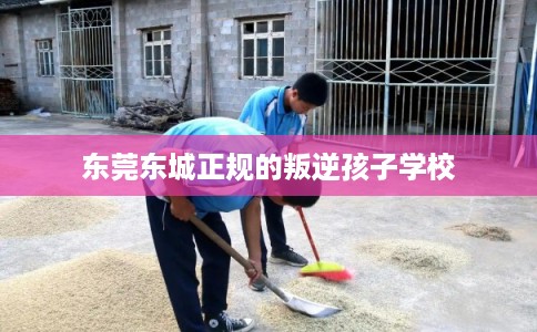 东莞东城正规的叛逆孩子学校
