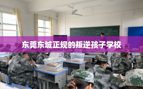 东莞东城正规的叛逆孩子学校