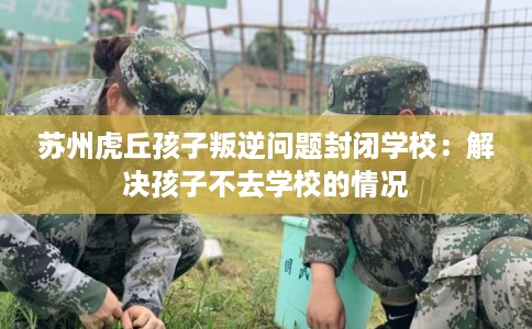 苏州虎丘孩子叛逆问题封闭学校：解决孩子不去学校的情况