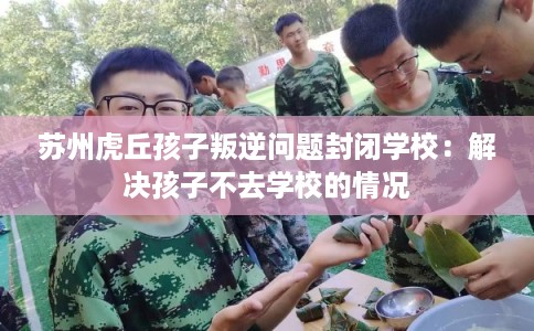 苏州虎丘孩子叛逆问题封闭学校：解决孩子不去学校的情况