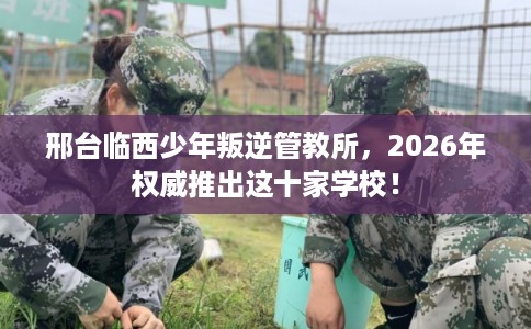 邢台临西少年叛逆管教所,2026年权威推出这十家学校! 邢台临西少年叛逆管教所,2026年权威推出这十家学校!