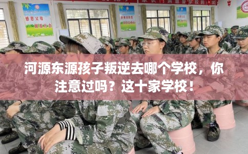 河源东源孩子叛逆去哪个学校，你注意过吗？这十家学校！