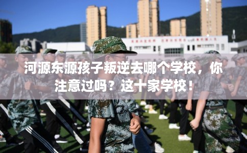 河源东源孩子叛逆去哪个学校，你注意过吗？这十家学校！