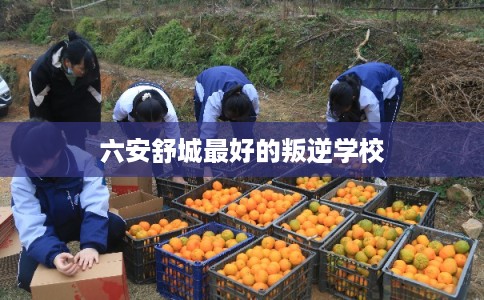 六安舒城最好的叛逆学校 六安舒城最好的叛逆学校