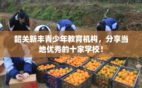 韶关新丰青少年教育机构，分享当地优秀的十家学校！