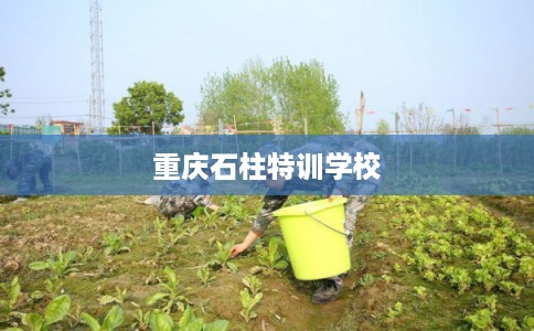 重庆石柱特训学校
