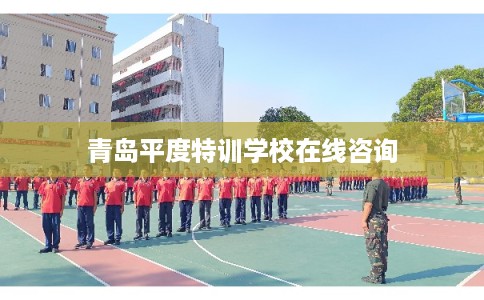 青岛平度特训学校在线咨询