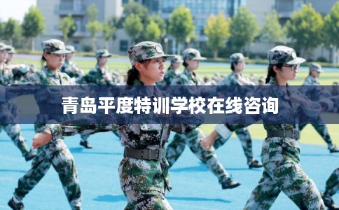 青岛平度特训学校在线咨询