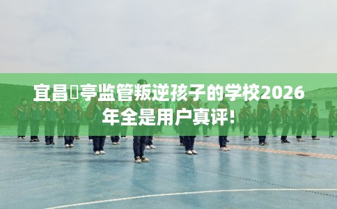 宜昌猇亭监管叛逆孩子的学校2026年全是用户真评!