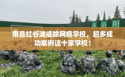 南昌红谷滩戒除网瘾学校，超多成功案例这十家学校！