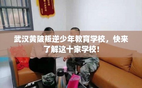 武汉黄陂叛逆少年教育学校，快来了解这十家学校!