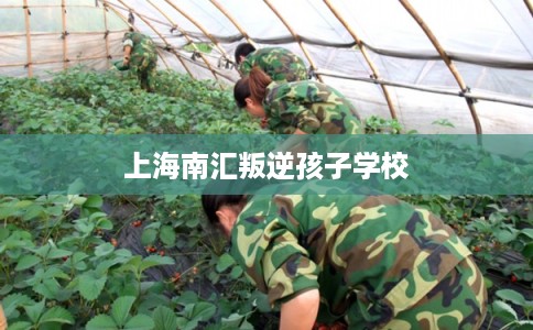 上海南汇叛逆孩子学校