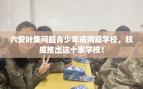 六安叶集问题青少年戒网瘾学校，权威推出这十家学校！