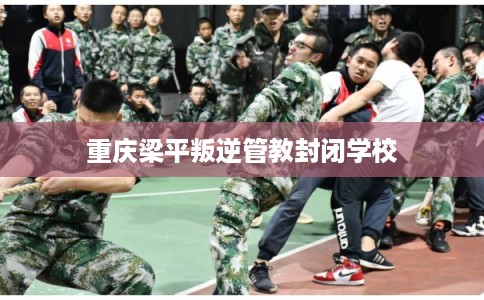 重庆梁平叛逆管教封闭学校 重庆梁平叛逆管教封闭学校