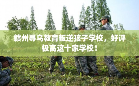 赣州寻乌教育叛逆孩子学校,好评极高这十家学校! 赣州寻乌教育叛逆孩子学校,好评极高这十家学校!