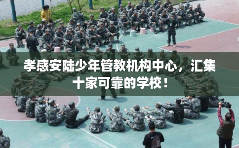 孝感安陆少年管教机构中心，汇集十家可靠的学校！