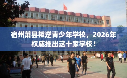 宿州萧县叛逆青少年学校,2026年权威推出这十家学校! 宿州萧县叛逆青少年学校,2026年权威推出这十家学校!
